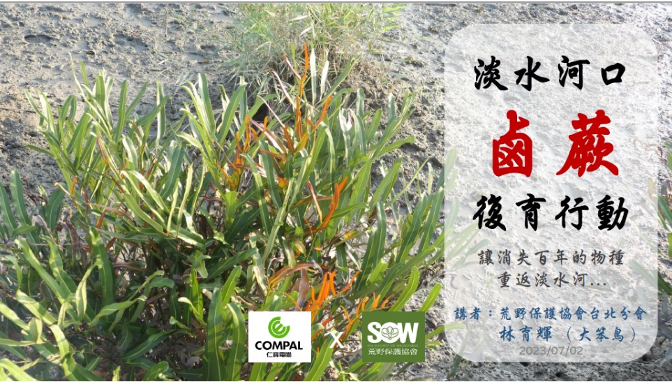 仁寶「淡水河口鹵蕨復育行動」環境教育 .jpg