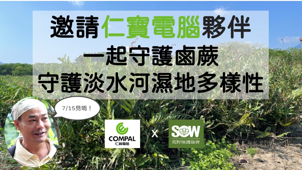 仁寶「淡水河口鹵蕨復育行動」環境教育2 .jpg