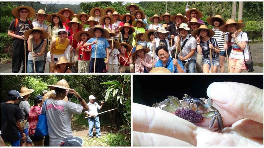 4.7 環境教育與行動-2021墾丁護蟹2.jpg